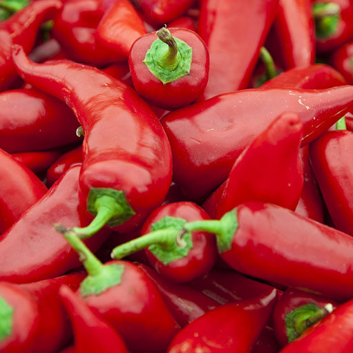 Red Pepper Close up of Red Pepper
