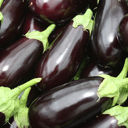 eggplant eggplant