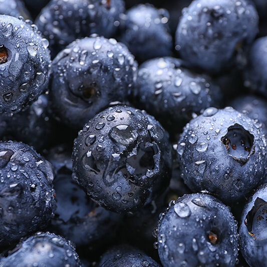 fresh-blueberries fresh-blueberries
