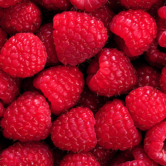 raspberries raspberries