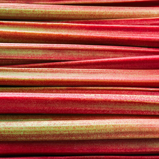 rhubarb-stalks rhubarb-stalks